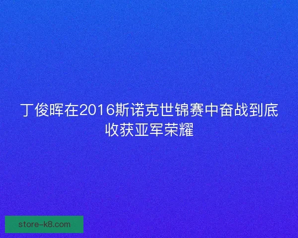 丁俊晖在2016斯诺克世锦赛中奋战到底收获亚军荣耀